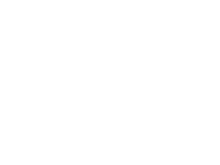 Araujo - MEETING